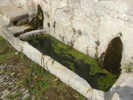 prima