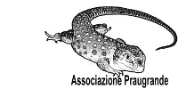 logo associazione