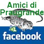 Iscriviti al nostro gruppo su Facebok